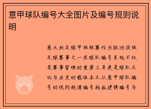意甲球队编号大全图片及编号规则说明